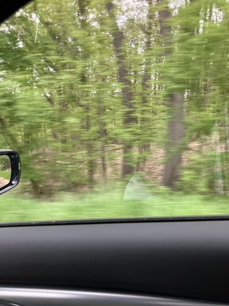 walking near me in Sharonville State Game Area in spring