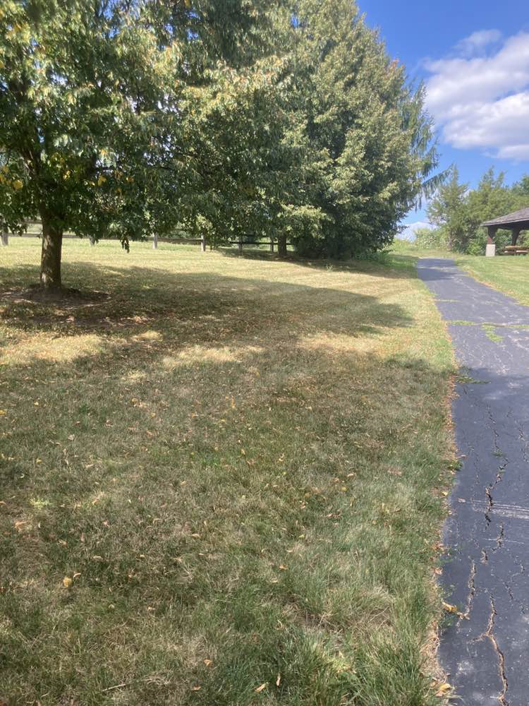 walking near me in Coleman Park in summer