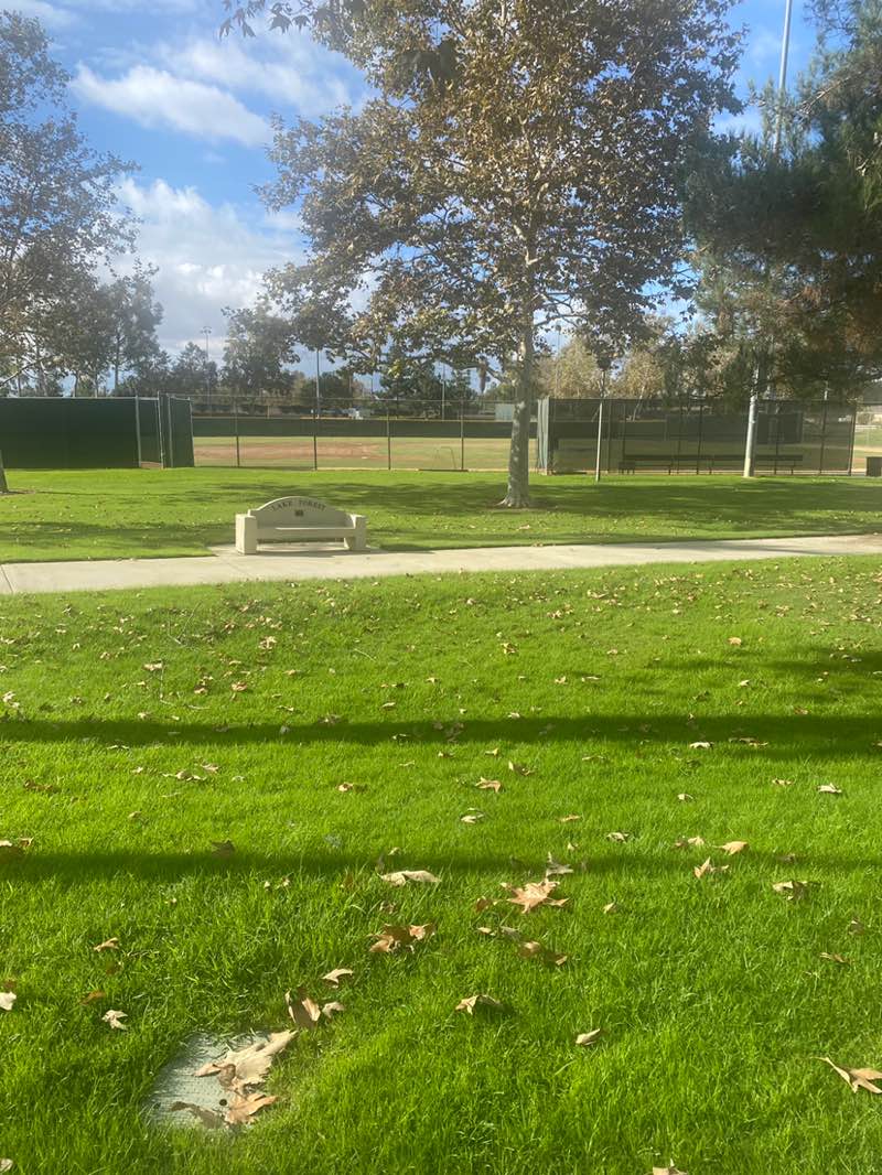 walking near me in El Toro Community Park in autumn
