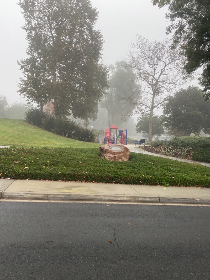 walking near me in Doria Park in winter