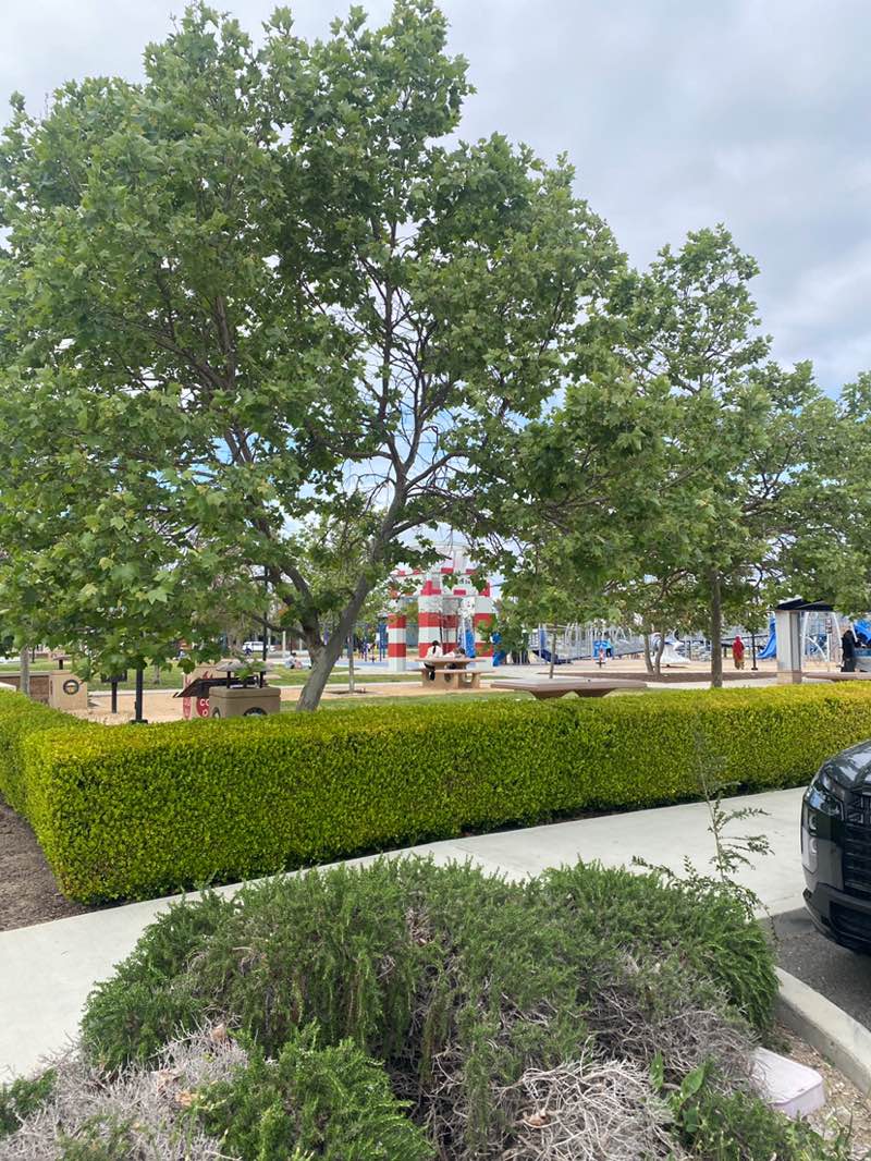 walking near me in Victory Park in spring