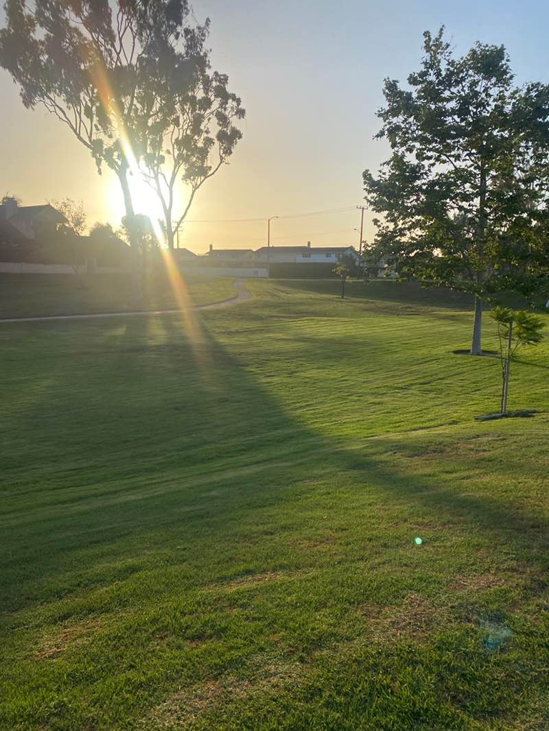 walking near me in Green Valley Park in summer