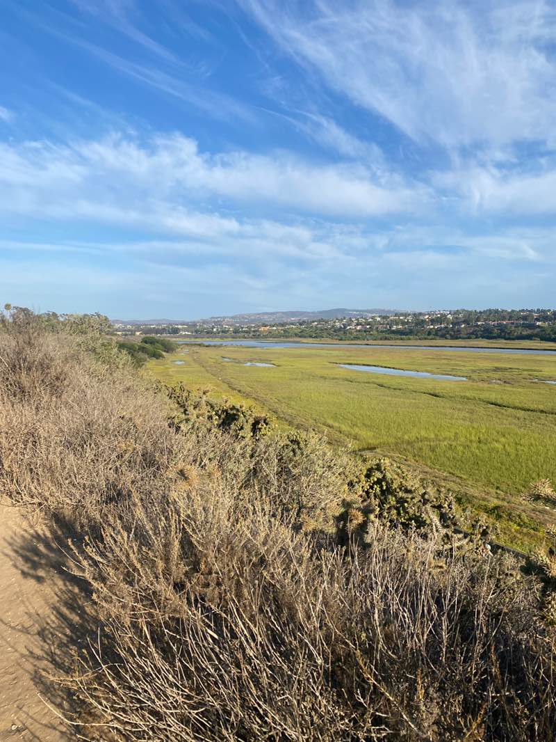 walking near me in Upper Newport Bay Nature Preserve in autumn