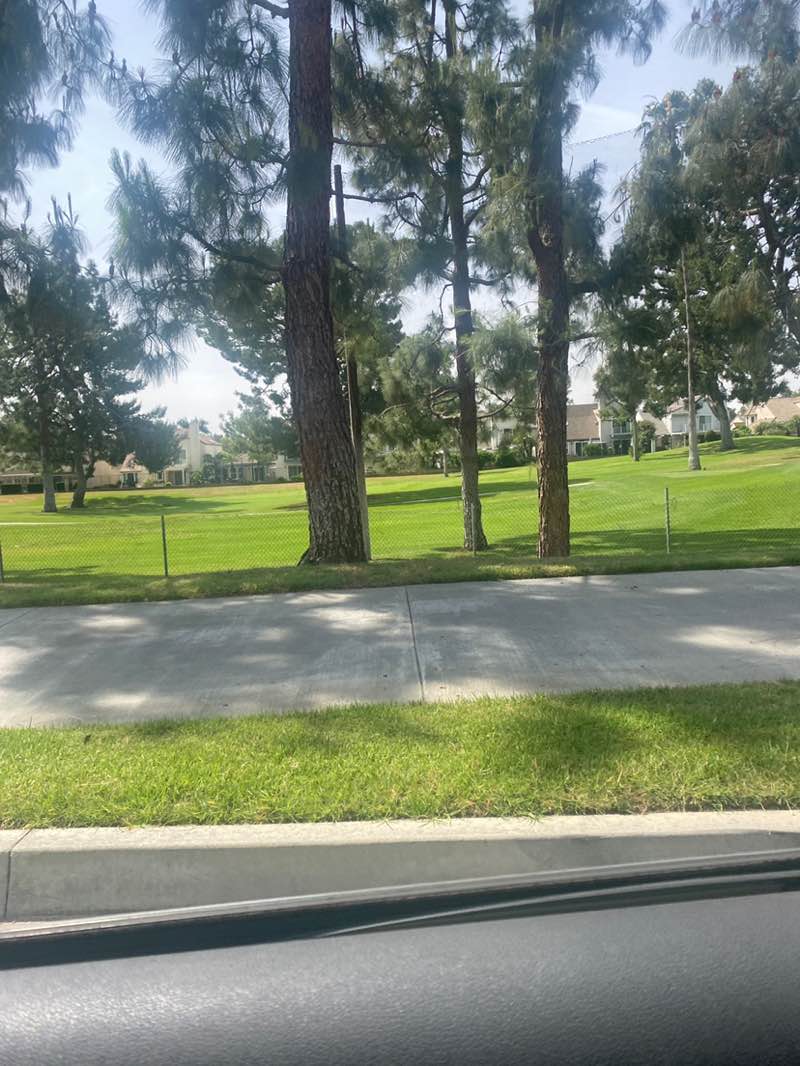 walking near me in Parque Del Arroyo Verde in spring