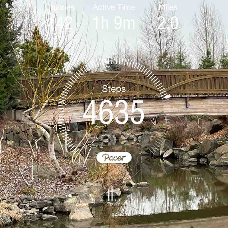 PacerGal_1946 post 1