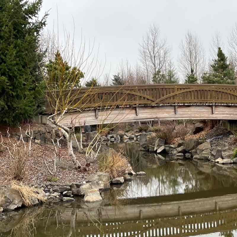 PacerGal_1946 post 2