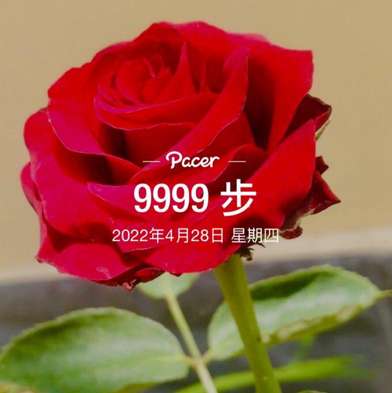 悟慧🇹🇼 post 1