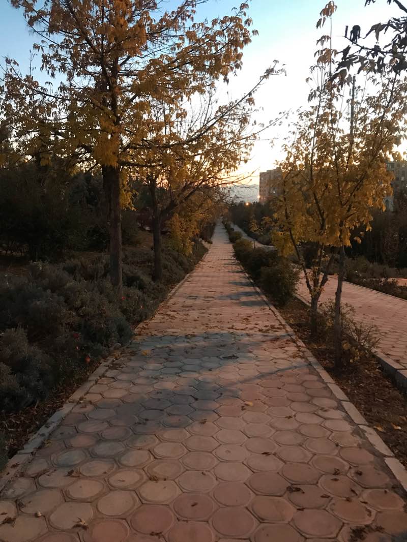 walking near me in بوستان خلیج فارس in winter