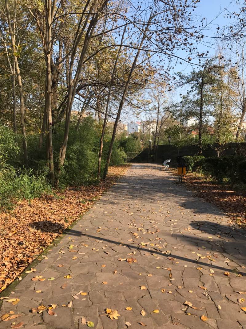 walking near me in بوستان مفاخر in winter