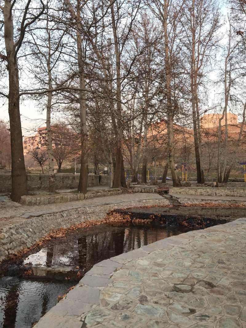 walking near me in باغ گلستان in winter