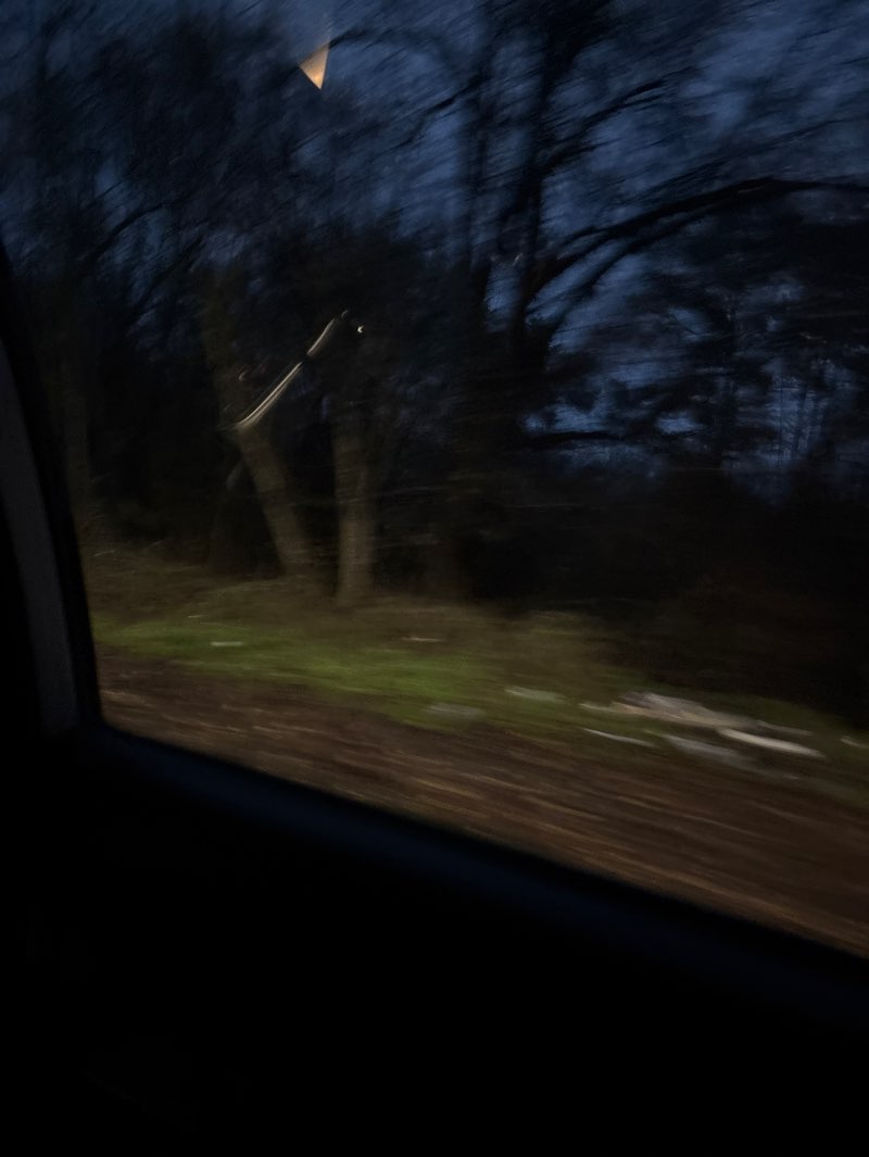 walking near me in Pădure- parc „Munceşti” (lotul nr. 2) in autumn