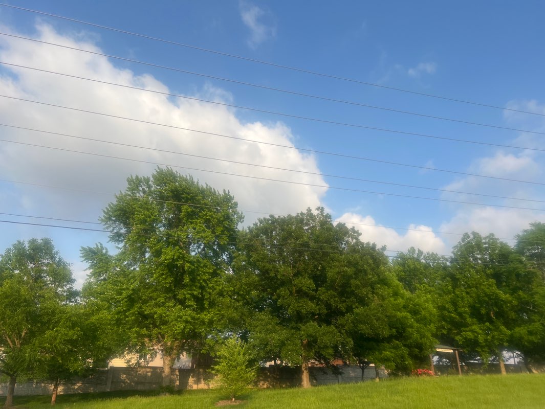 walking near me in Spencer Road Pocket Park in spring