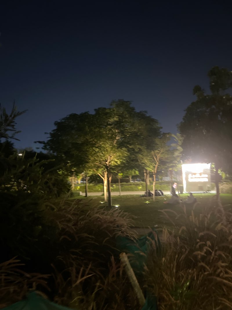 walking near me in Prince Majid Park in autumn