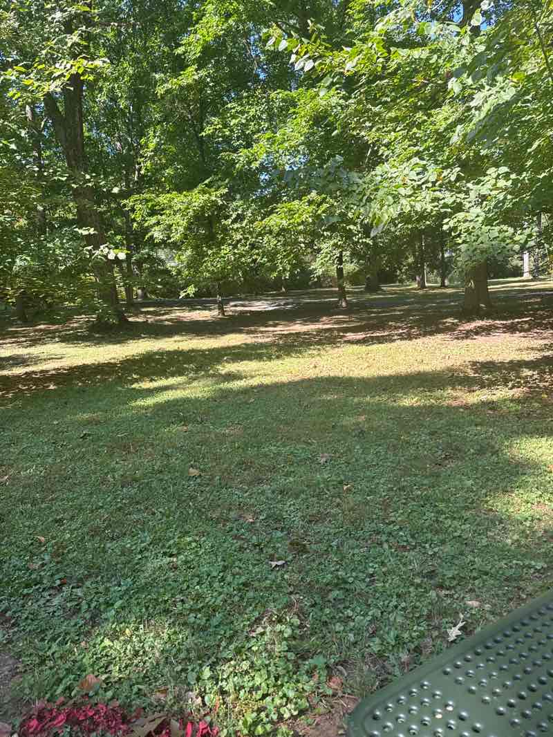 walking near me in Thurmont Park in autumn