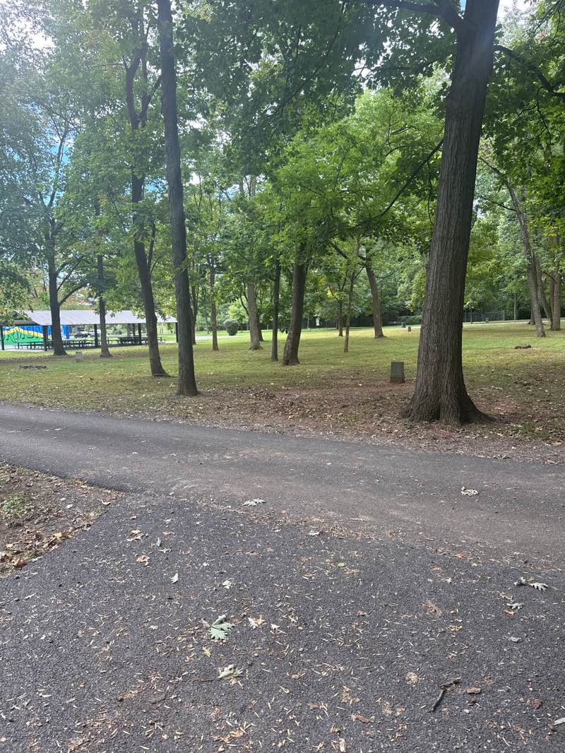 walking near me in Thurmont Park in autumn