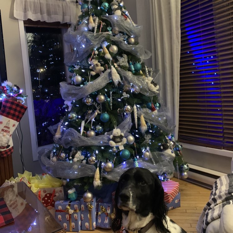 Alexandre 🇨🇦🇨🇦🇨🇦