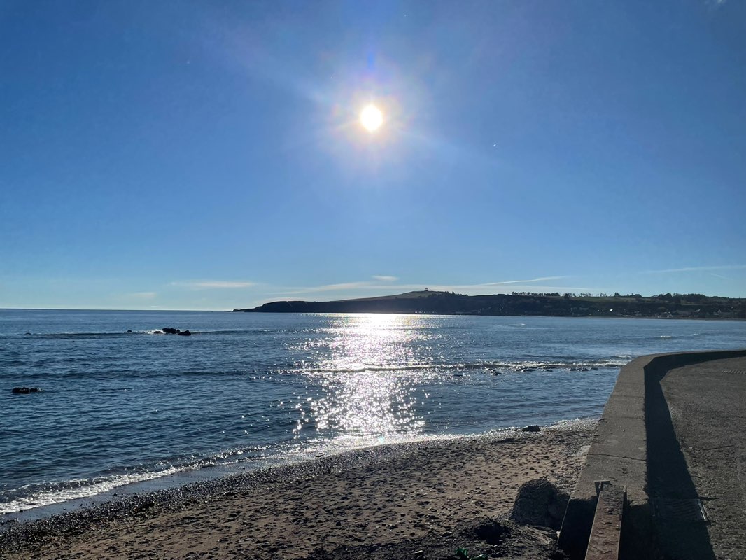 PacerGuy_1965 profile