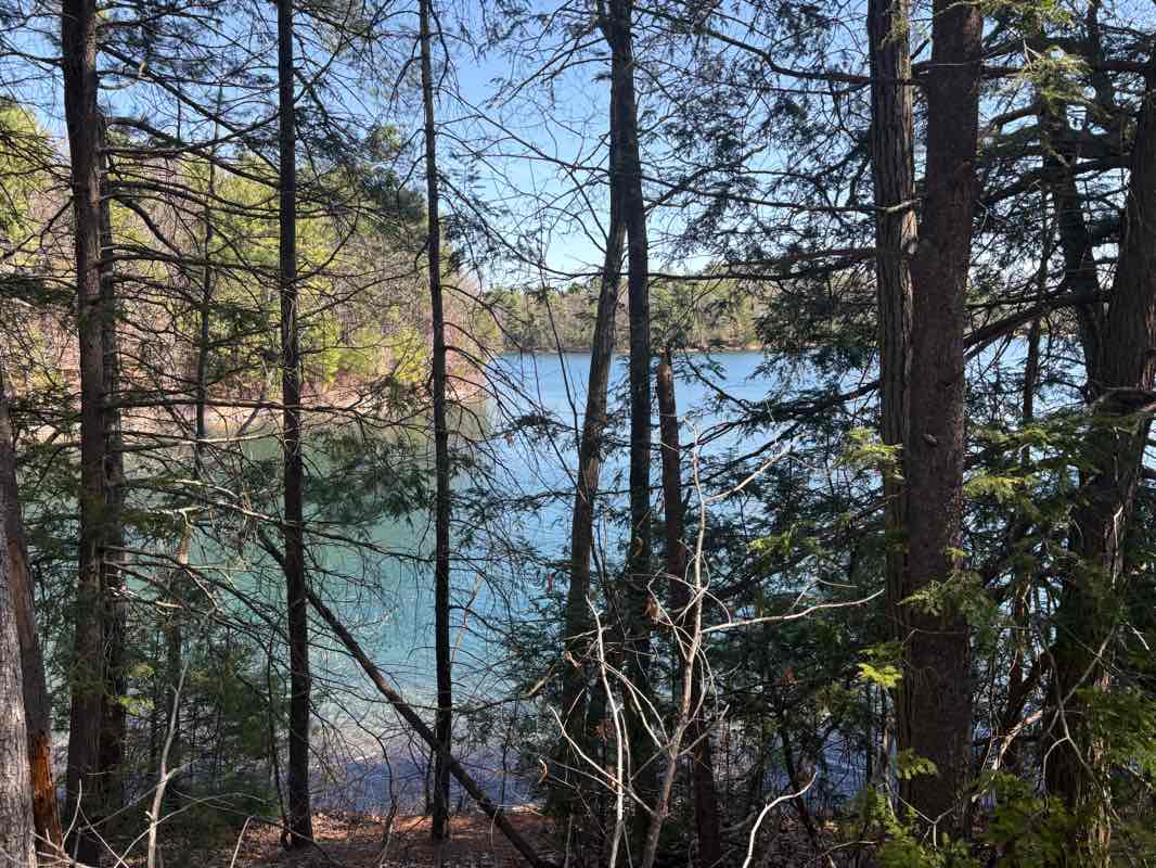 walking near me in Pine Hill in spring