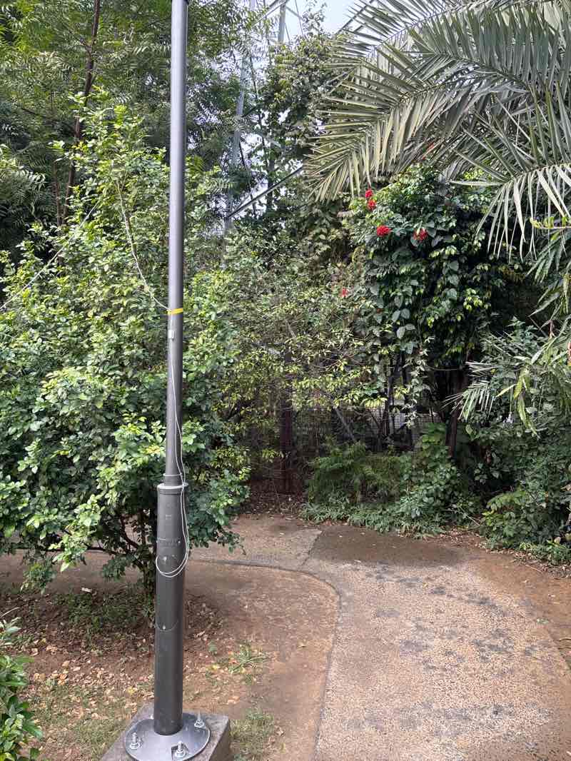 walking near me in White Wood Central Park in winter