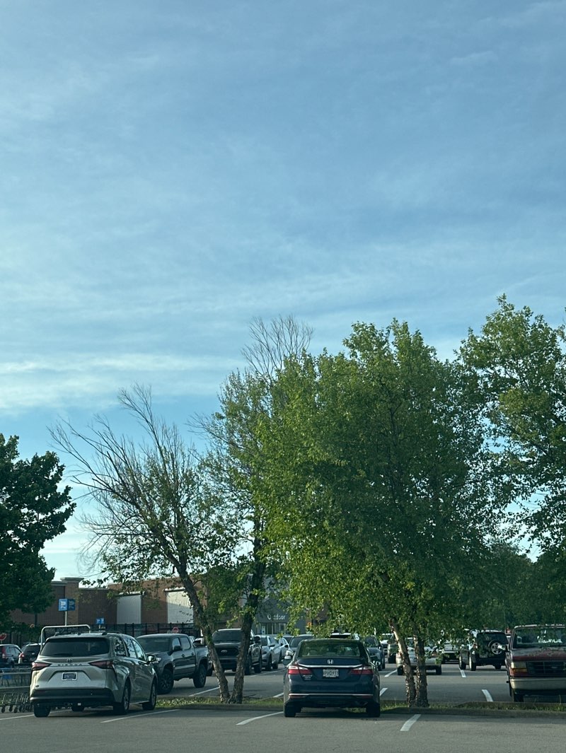 walking near me in Robinson Family Park in spring