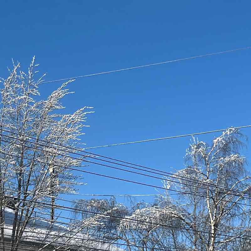 August Steps Challenge Наташа 🦄🦄🦄 post image