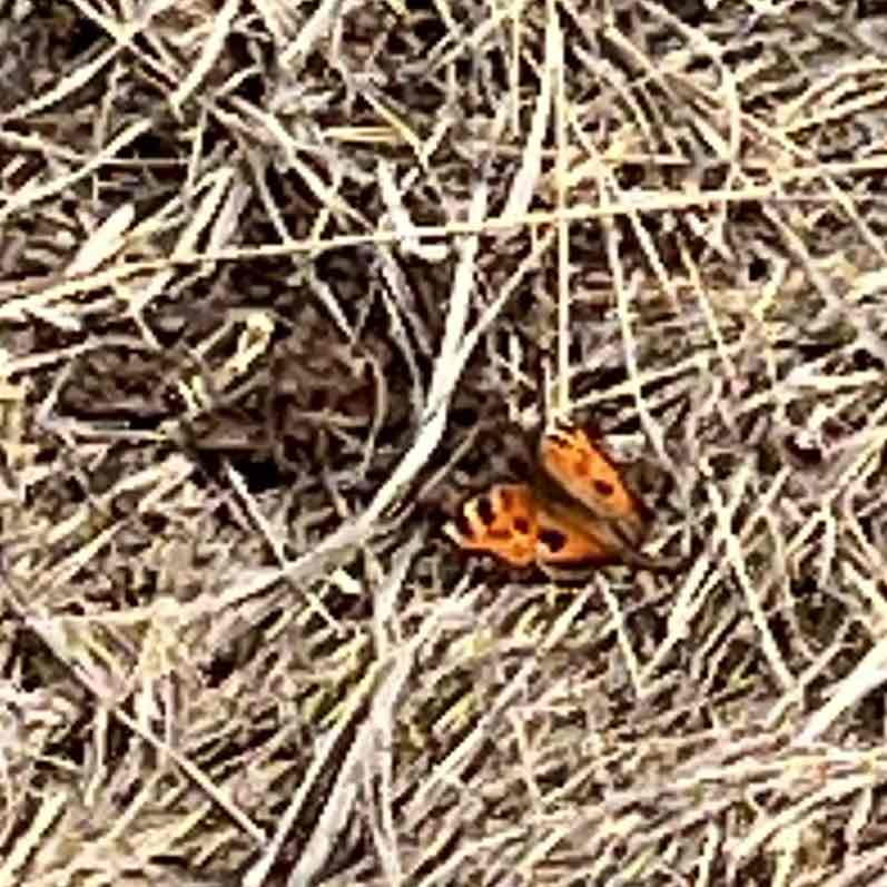 Наташа 🦄🦄🦄 post 2