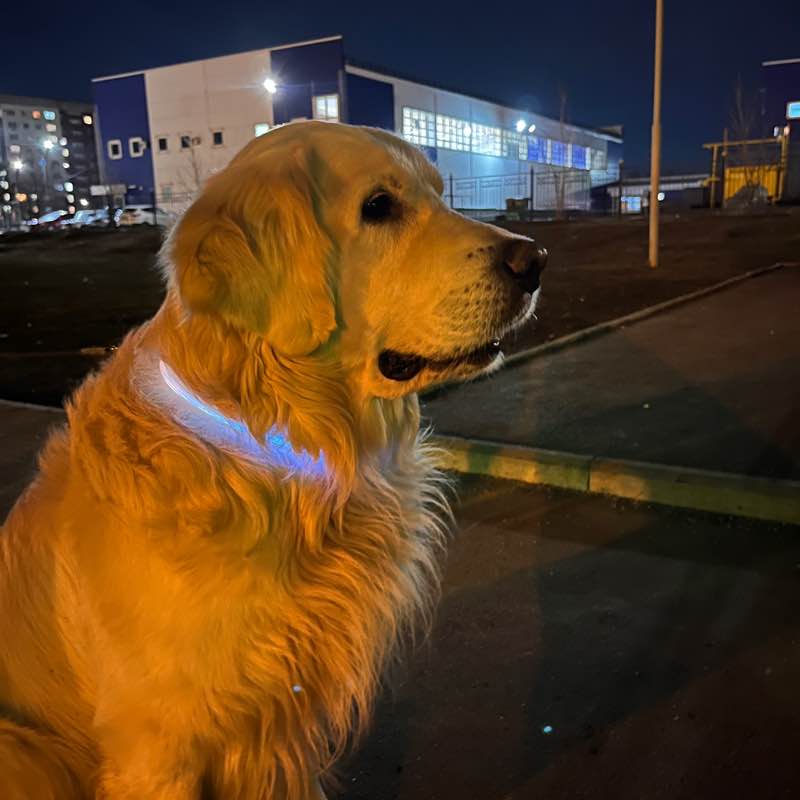 Наташа 🦄🦄🦄 post 2