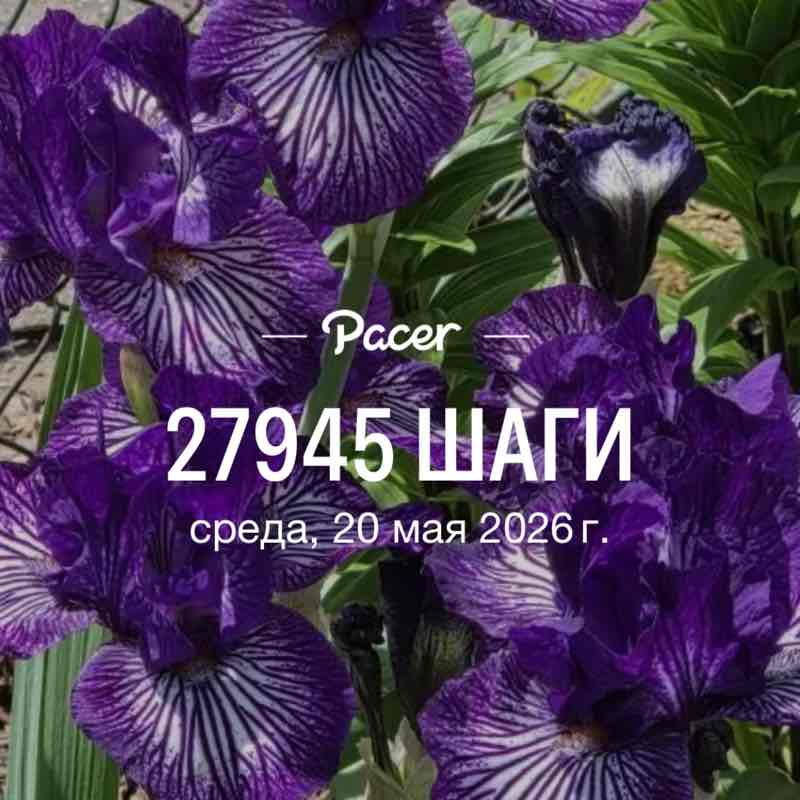 Наташа 🦄🦄🦄 post 1