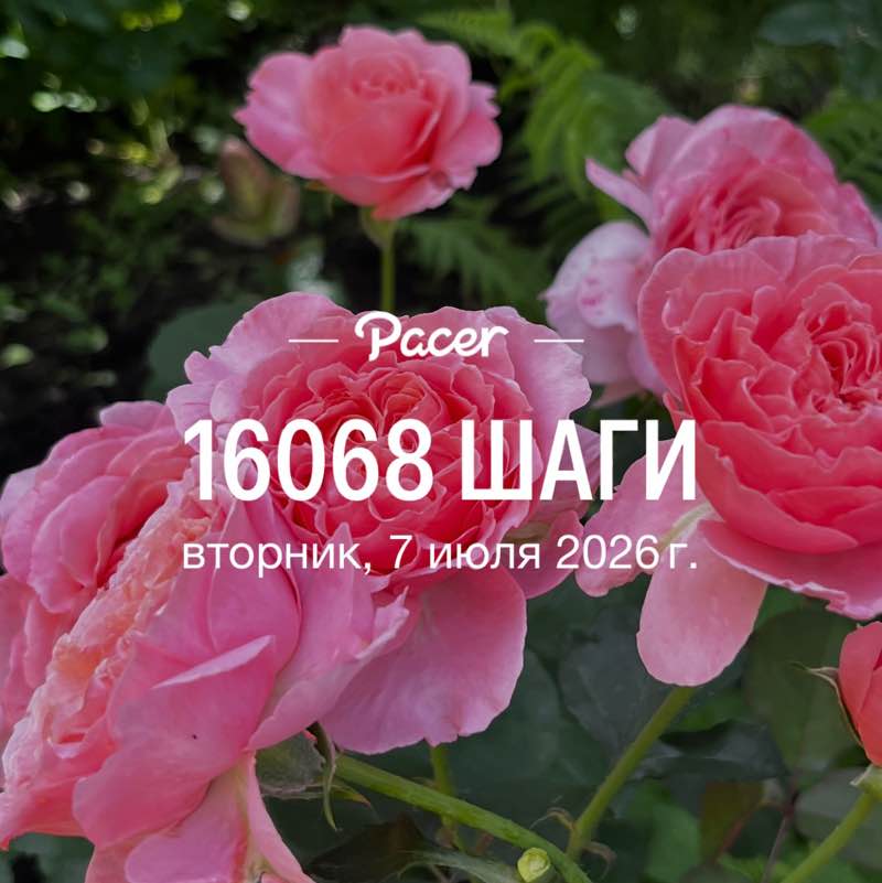 Наташа 🦄🦄🦄 post 1