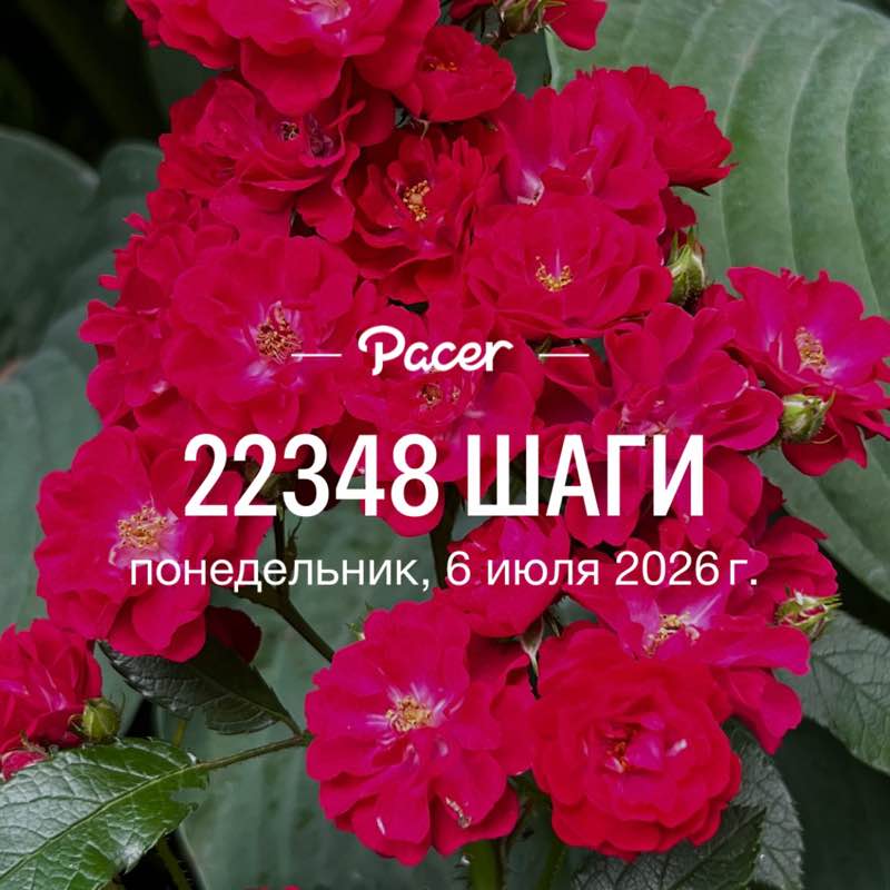 Наташа 🦄🦄🦄 post 1