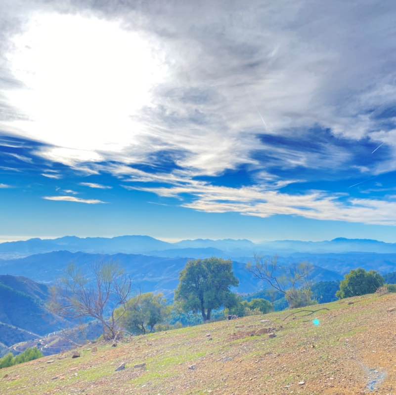 🅰🅻🅸🅽🅰 post 3