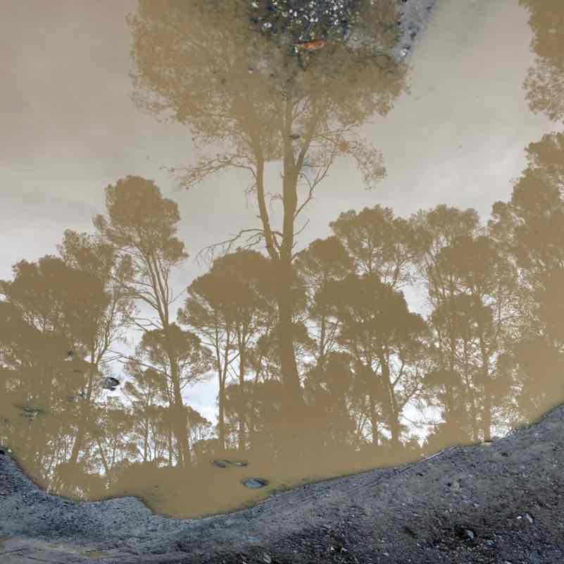 🅰🅻🅸🅽🅰 post 2