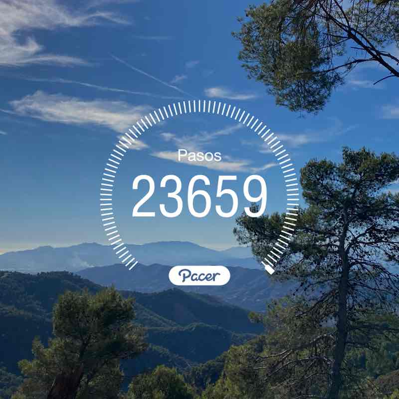 🅰🅻🅸🅽🅰 post 1