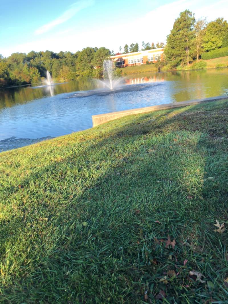 walking near me in Twin Hickory Park in winter