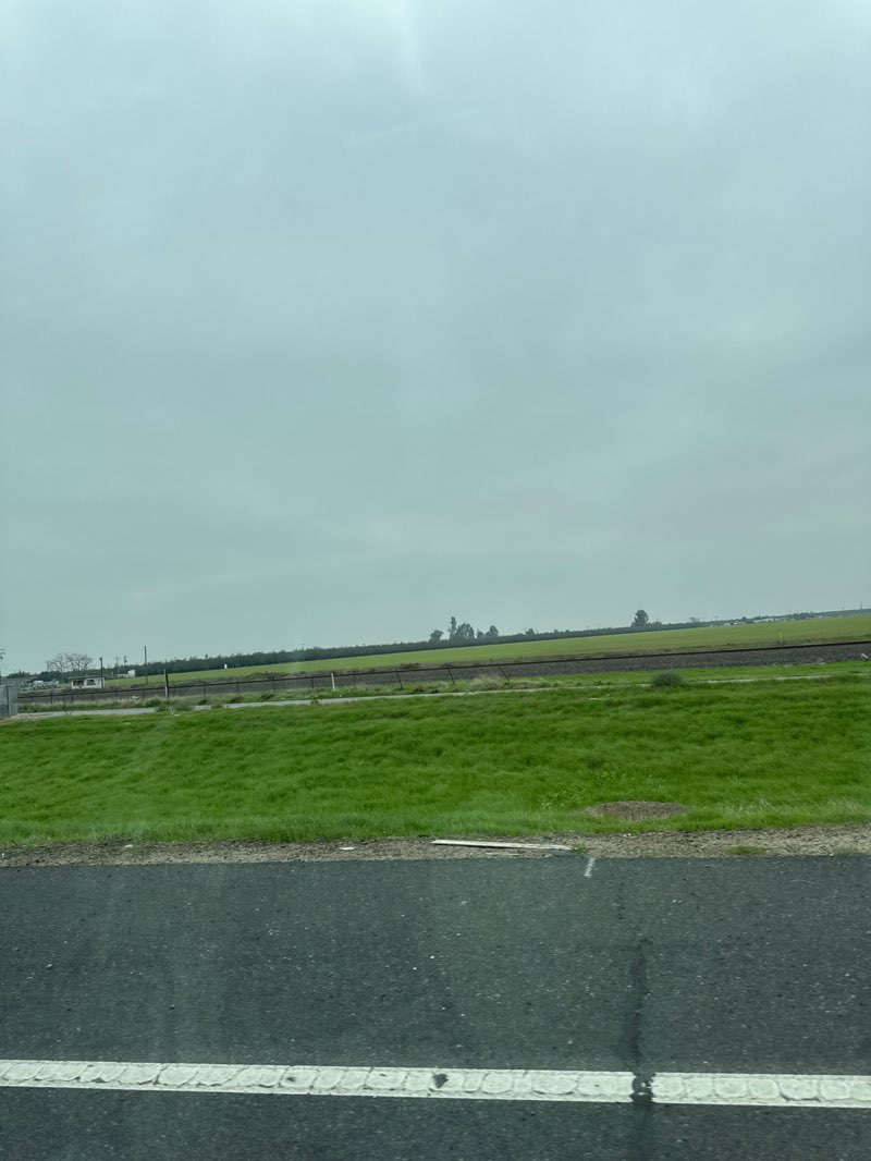 walking near me in Pixley Park in autumn