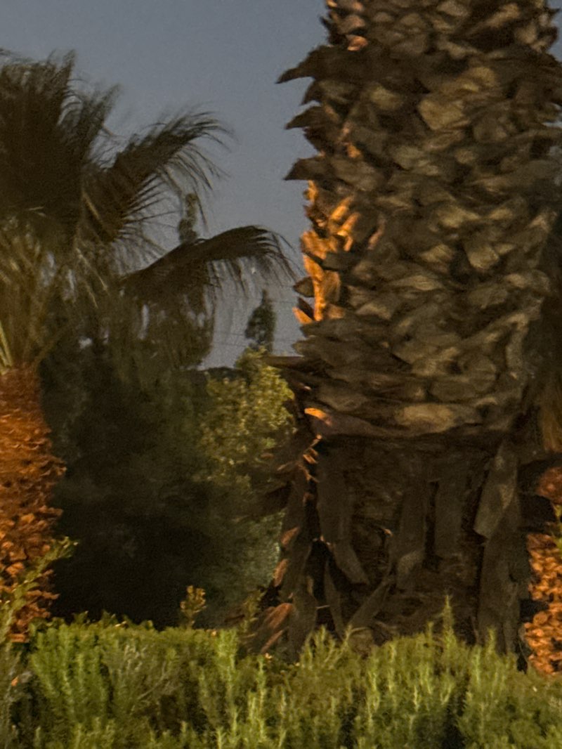 walking near me in Louie Pompei Memorial Sports Park in autumn