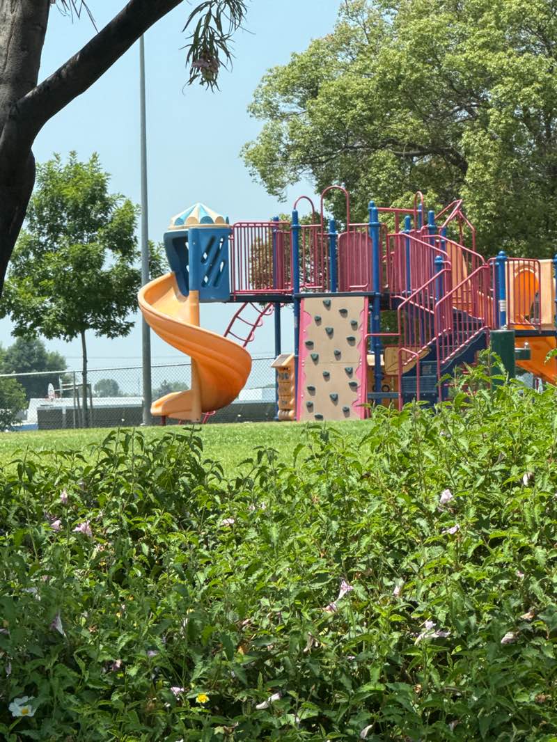 walking near me in Willow Springs Park in summer