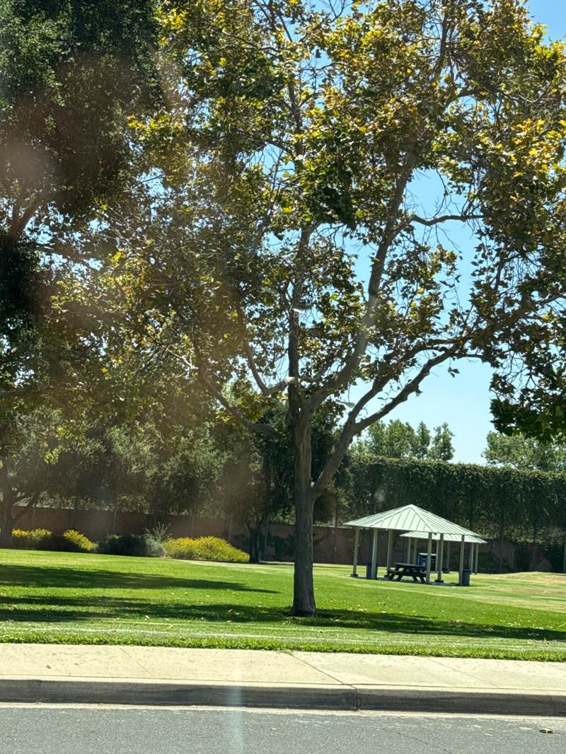 walking near me in Emerald Park in autumn