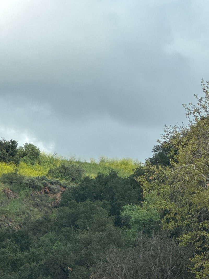 walking near me in South Hills City Park in winter