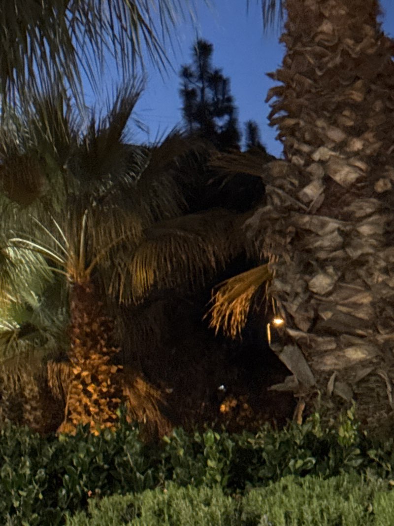 walking near me in Louie Pompei Memorial Sports Park in winter