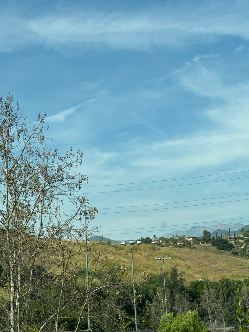 walking near me in Louie Pompei Memorial Sports Park in spring