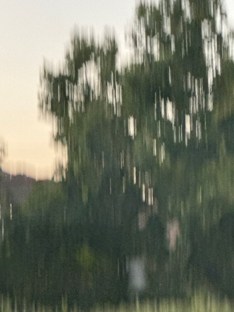 walking near me in Louie Pompei Memorial Sports Park in summer