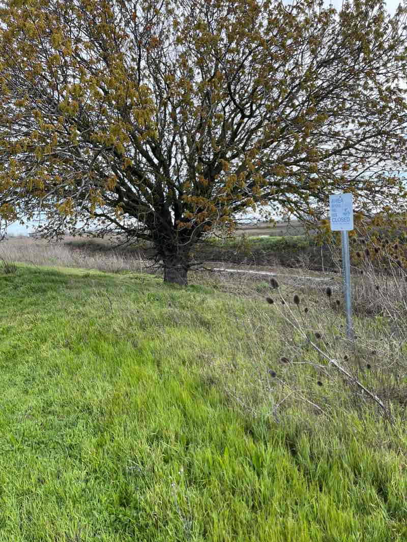 walking near me in Sacramento National Wildlife Refuge in winter