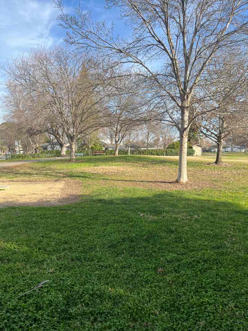 walking near me in Sycamore Park in winter