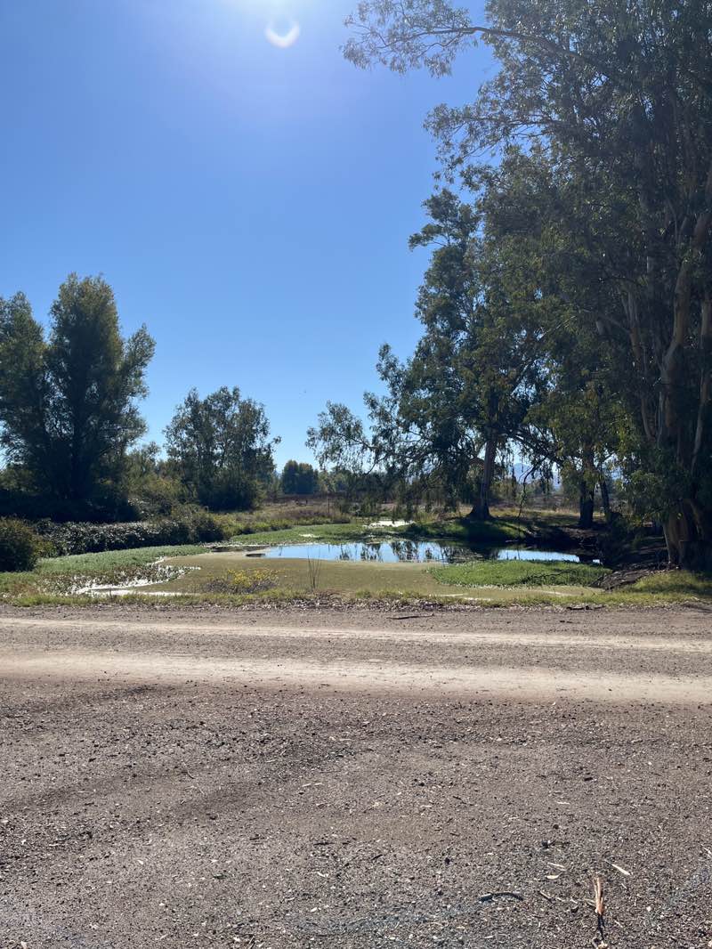 walking near me in Gray Lodge Wildlife Area in autumn