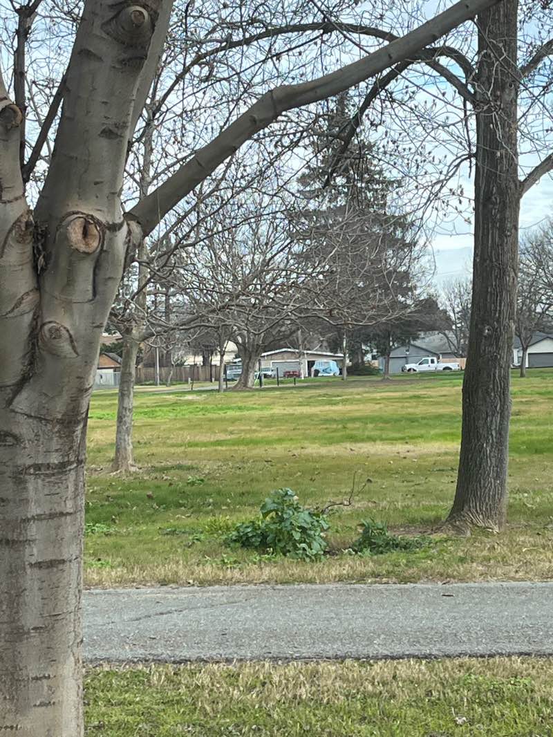 walking near me in Sycamore Park in winter