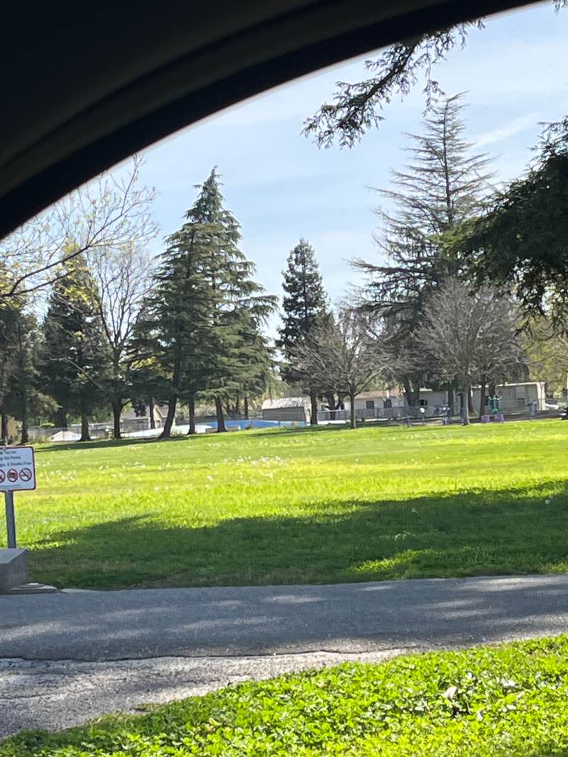 walking near me in Sycamore Park in spring