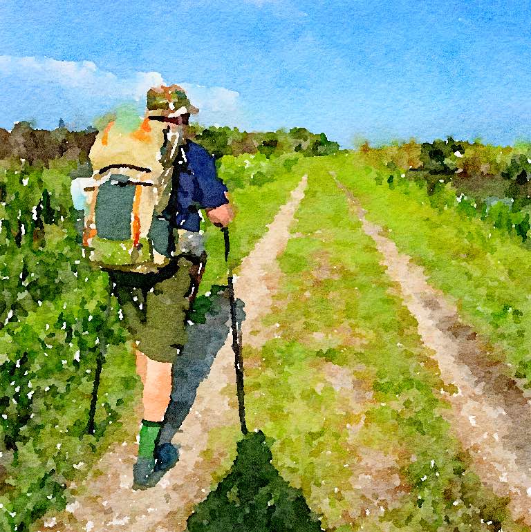 Shep  🇺🇸 🏴󠁧󠁢󠁳󠁣󠁴󠁿