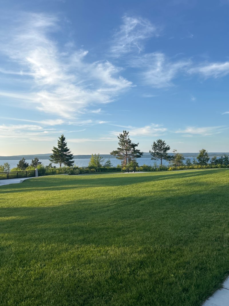 walking near me in Arlington Park in summer
