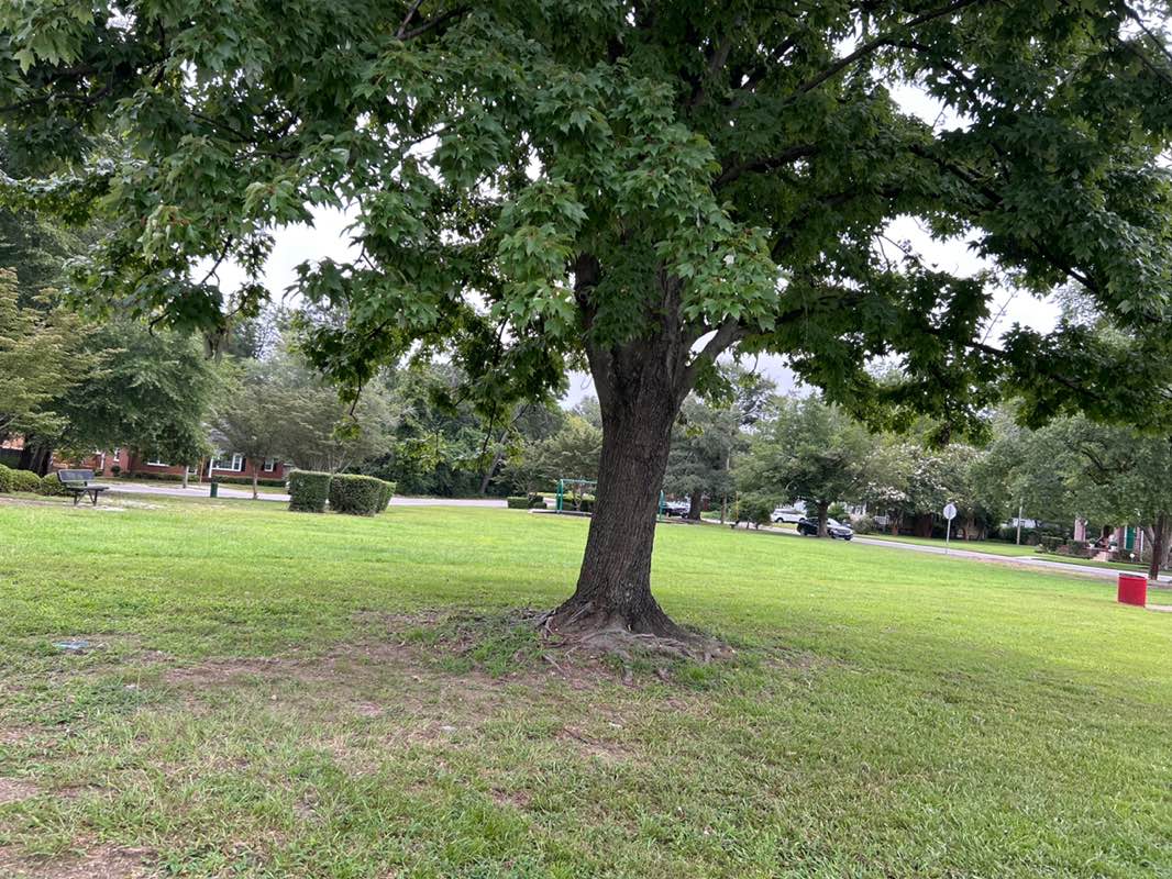 walking near me in General Lee Park in autumn